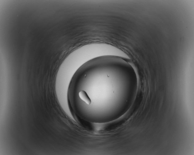 X0000086740564200704201708