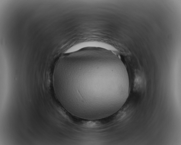 X0000086740566200704201708