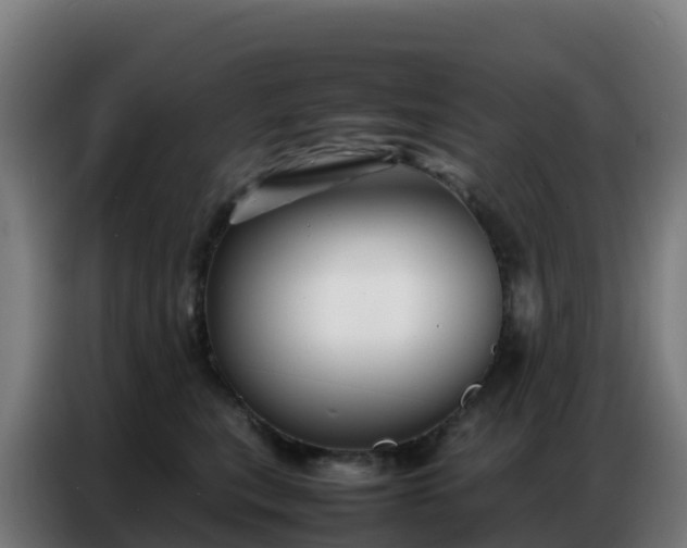 X0000086740567200704201708