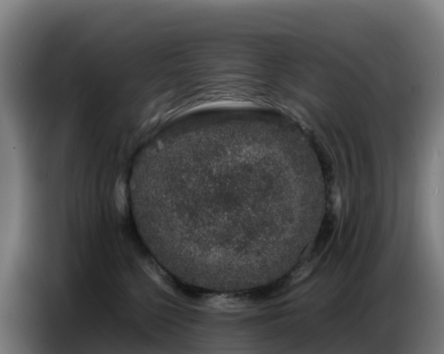 X0000086740568200704201708