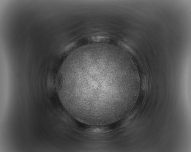 X0000086740569200704201708