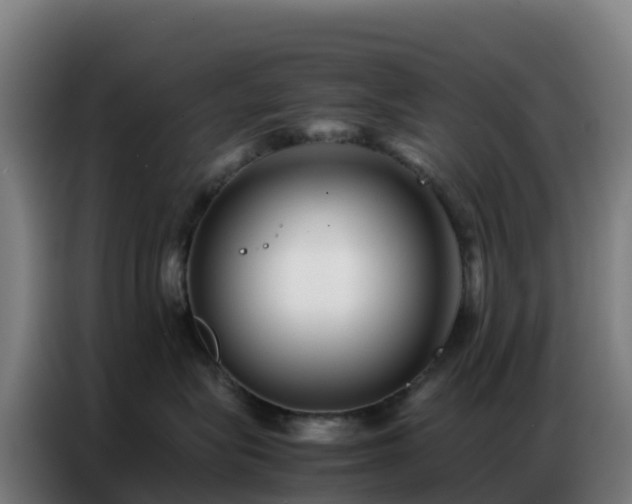 X0000086740575200704201708