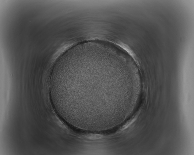 X0000086740577200704201707