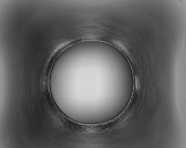 X0000086740579200704201707