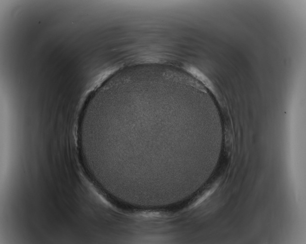 X0000086740581200704201707