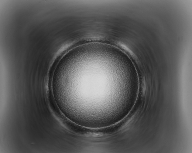 X0000086740582200704201707