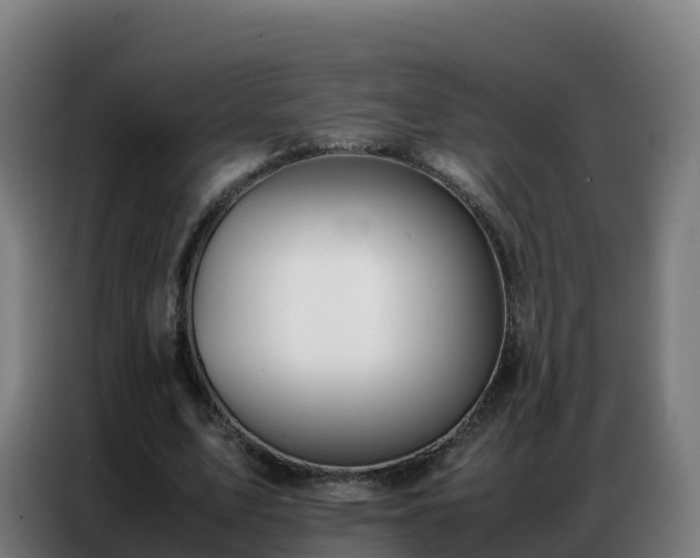 X0000086740583200704201707