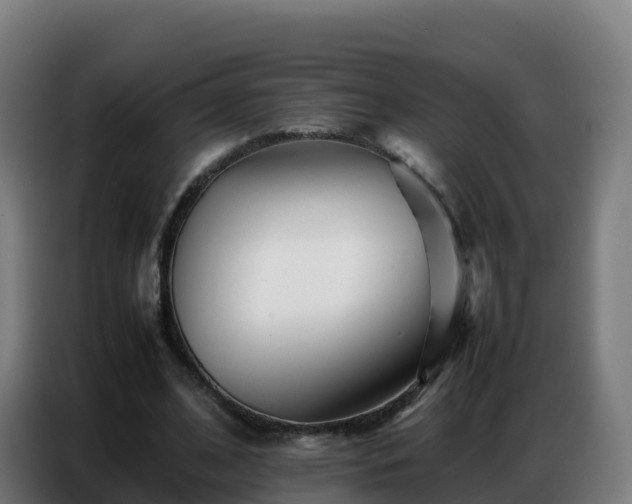 X0000086740584200704201707