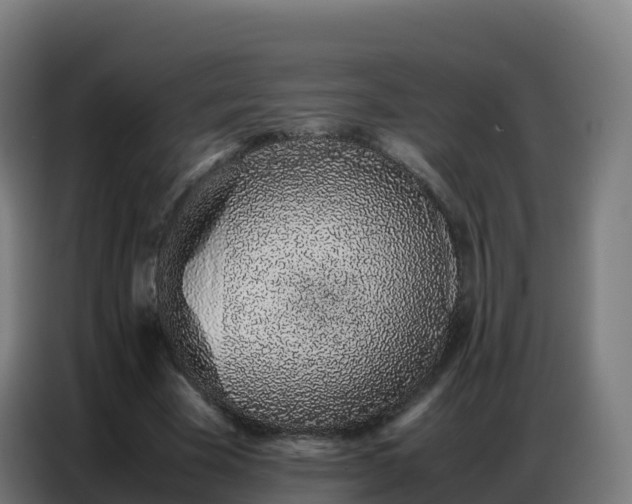 X0000086740585200704201707