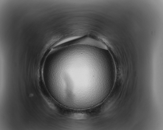 X0000086740586200704201707