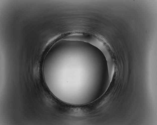 X0000086740588200704201707