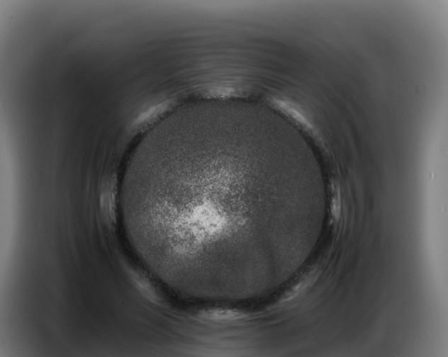 X0000086740590200704201707