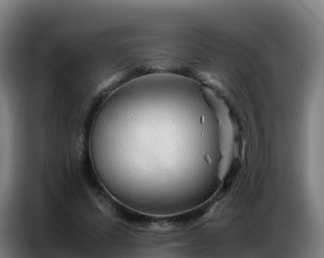 X0000086740591200704201707