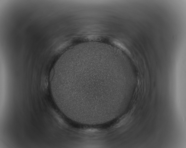 X0000086740593200704201707