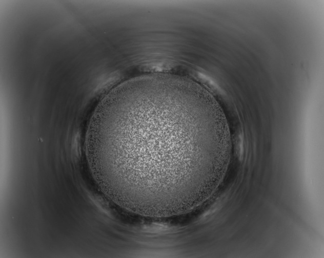 X0000086740594200704201707