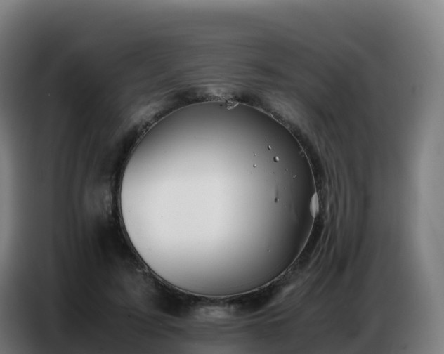 X0000086740595200704201707