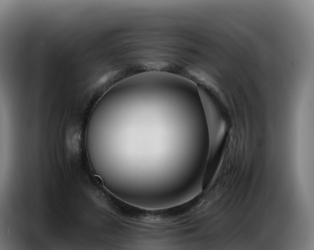 X0000086740596200704201707