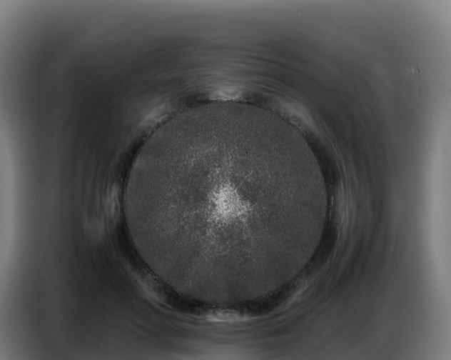 X0000086740598200704201707