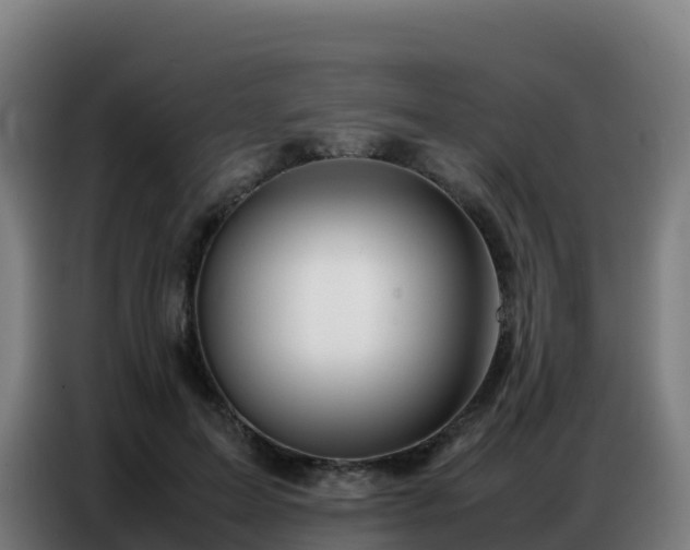 X0000086740599200704201707