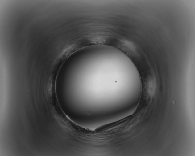 X0000086740600200704201707