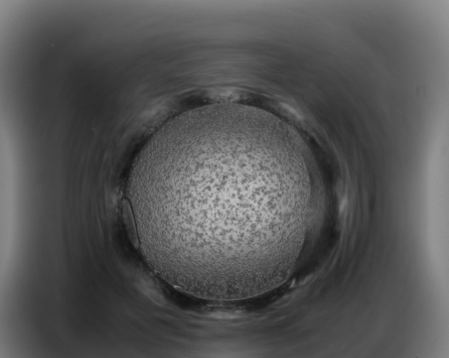 X0000086740601200704201707