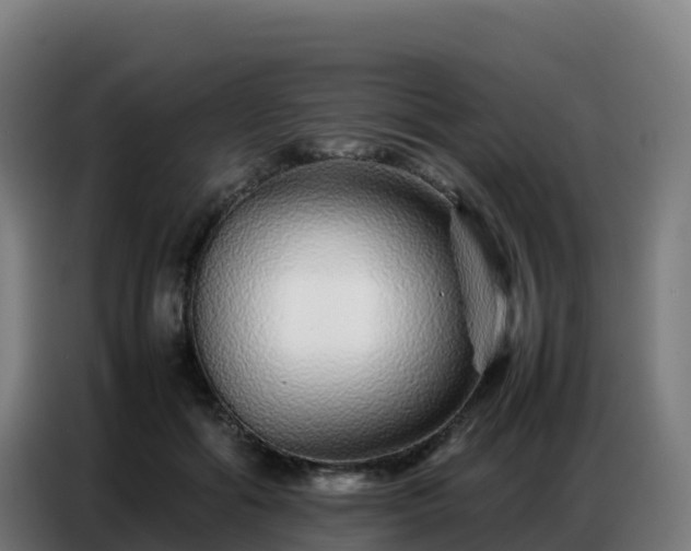 X0000086740602200704201707