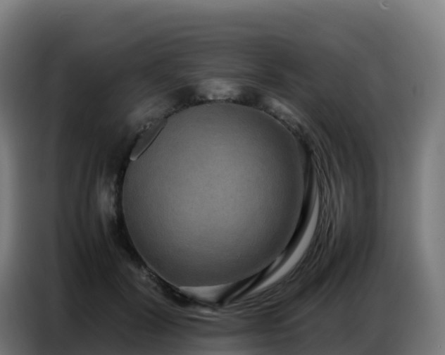 X0000086740604200704201707