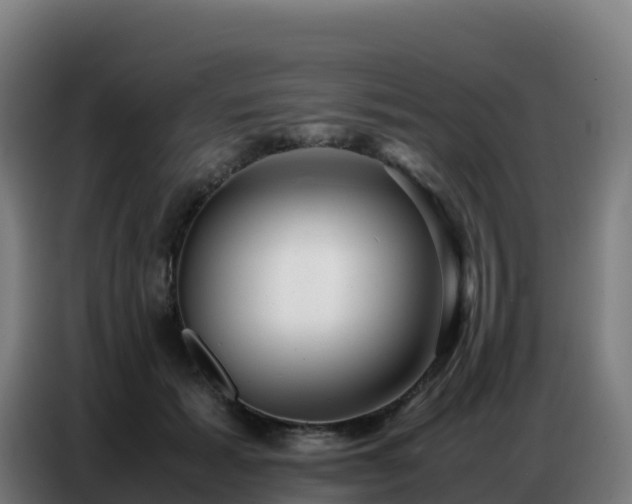 X0000086740605200704201707