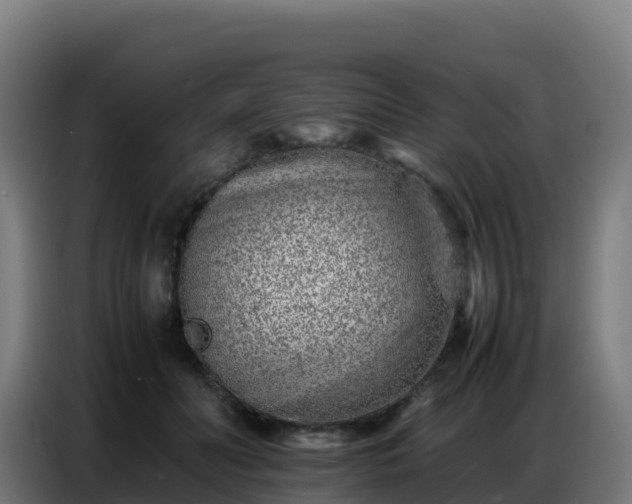 X0000086740606200704201707