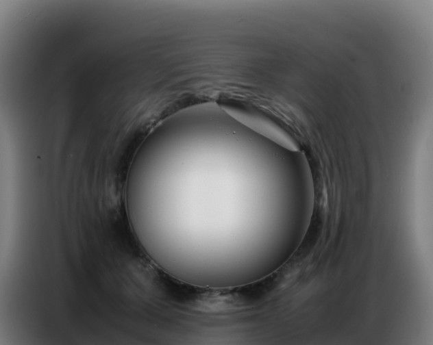 X0000086740607200704201707