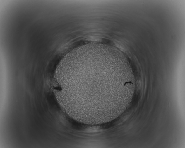 X0000086740609200704201707