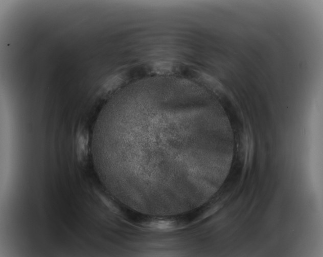 X0000086740610200704201707