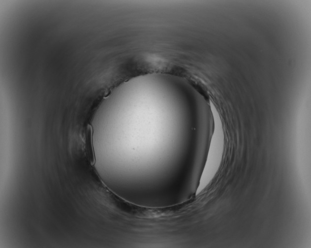 X0000086740613200704201707