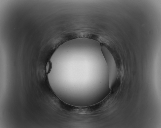 X0000086740615200704201707