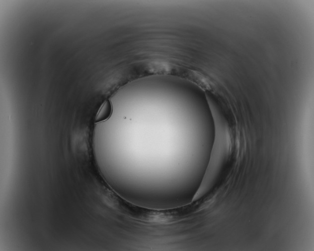 X0000086740616200704201707