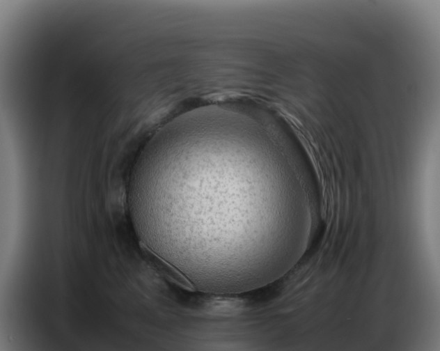 X0000086740617200704201707