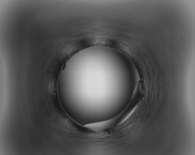 X0000086740619200704201707