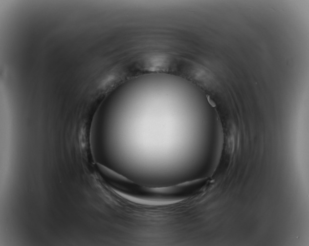 X0000086740620200704201707