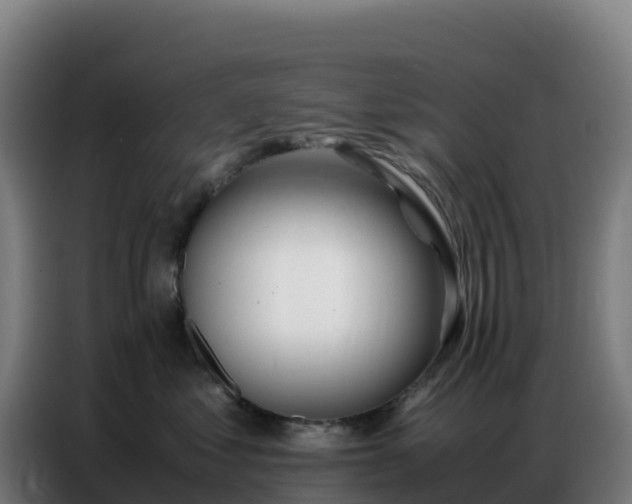 X0000086740621200704201707