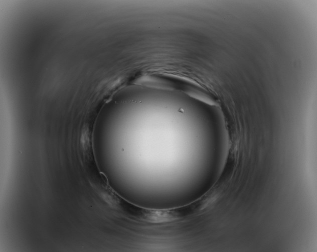 X0000086740623200704201707