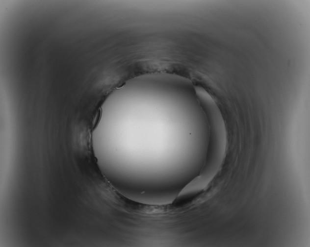 X0000086740624200704201707