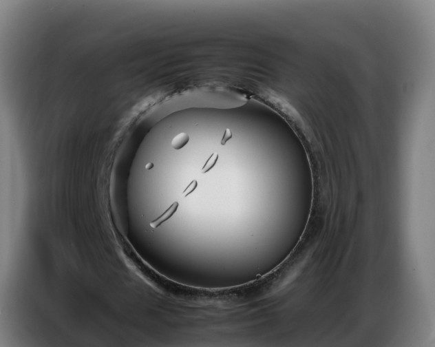 X0000086740625200704201706