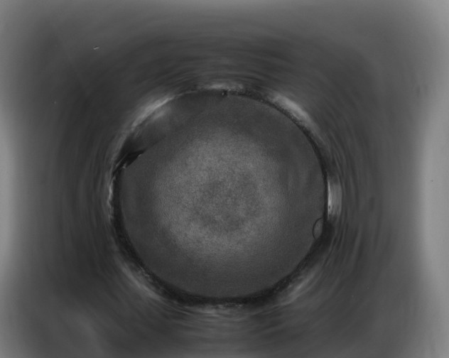 X0000086740627200704201706