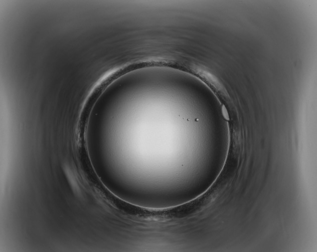 X0000086740628200704201706