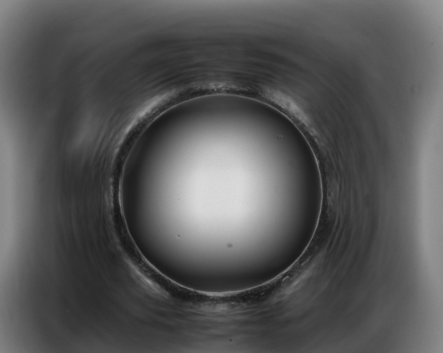 X0000086740629200704201706