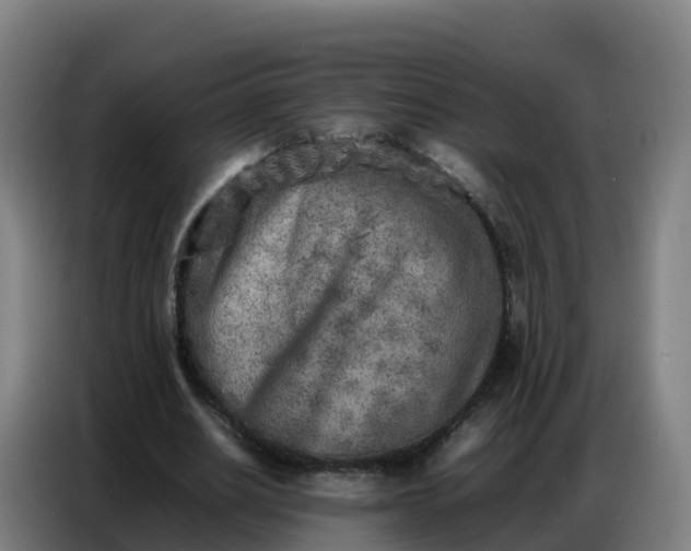 X0000086740630200704201706