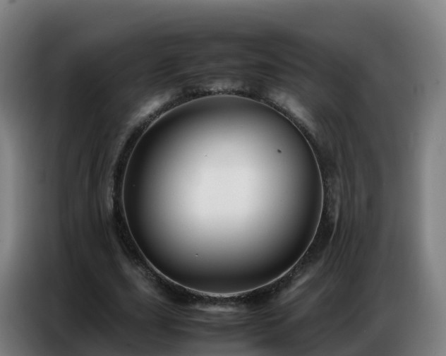 X0000086740631200704201706