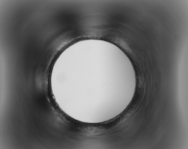 X0000086740632200704201706