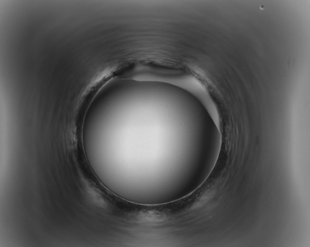 X0000086740634200704201706