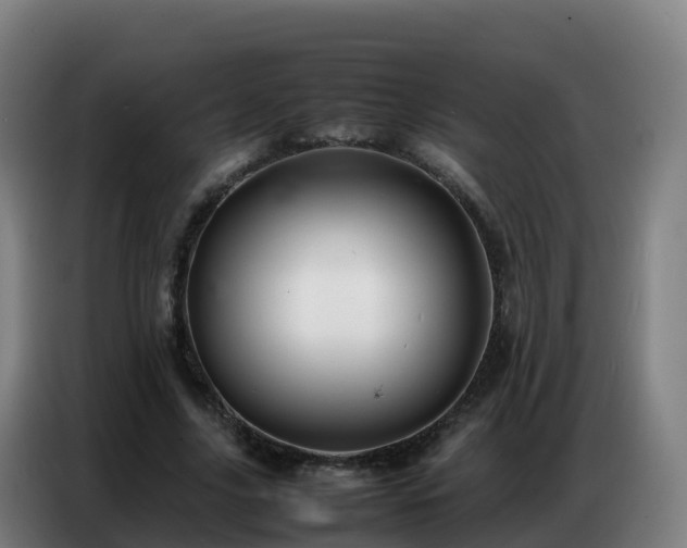 X0000086740635200704201706